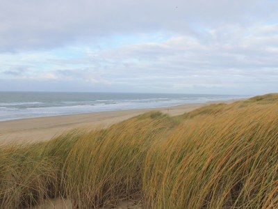 Holiday house Apartment Sunny Site - Environment photo 19