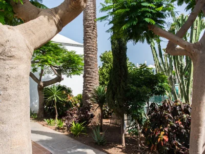 Bungalow Dunaflor - Maspalomas - Outdoor photo 26