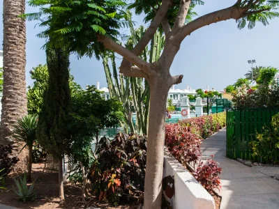 Bungalow Dunaflor - Maspalomas - Outdoor photo 27