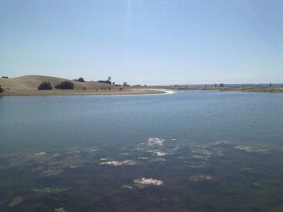 Bungalow Dunaflor - Maspalomas - Environment photo 36