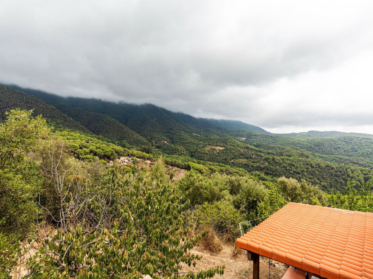 Cottage Villa in Maresme near Montnegre Park - Outdoor photo 2