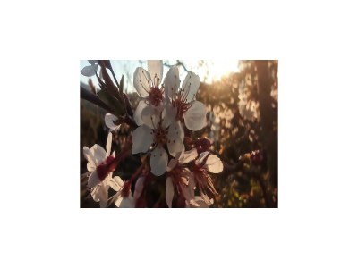 Cottage Villa in Maresme near Montnegre Park - Outdoor photo 37