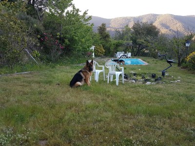 Cottage Villa in Maresme near Montnegre Park - Outdoor photo 40