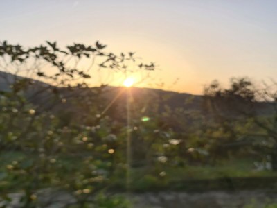 Cottage Villa in Maresme near Montnegre Park - Outdoor photo 41