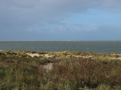 Holiday apartment Beach hut - Environment photo 16