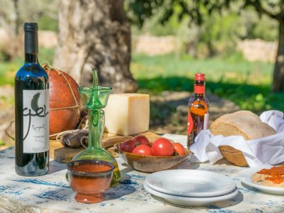 Villa Can Pere Rapinya - Outdoor photo 11