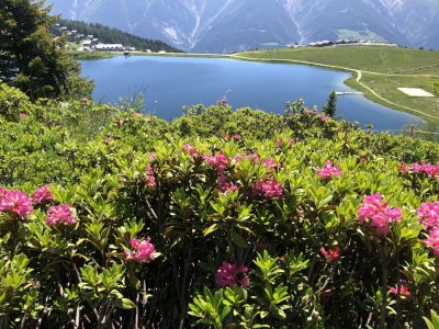 Holiday apartment Bellavista - Environment photo 22