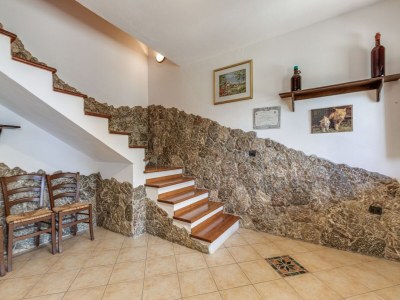 Chalet Chalet in Motta Santa Lucia im Grünen - Features photo 22