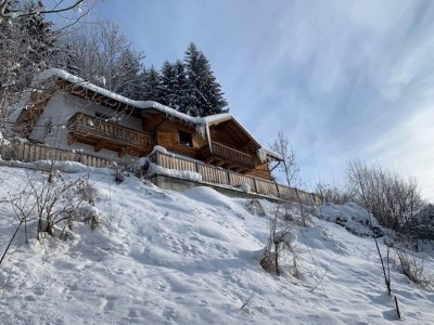 Chalet Chalet in Bruck near Zell am See Ski Slopes - Outdoor photo 6