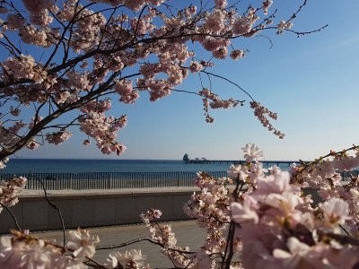 Holiday house 2 - 11 persons - Environment photo 25