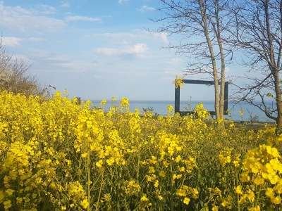 Holiday house 2 - 11 persons - Environment photo 26