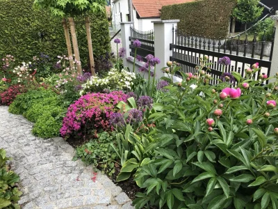 Holiday apartment Sommer Wachau 2 - Outdoor photo 12