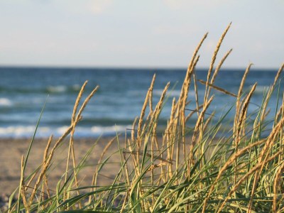 Holiday apartment Haus Ostseenixe 1 - Environment photo 30