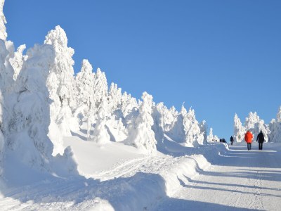 Holiday apartment No title - Environment photo 27