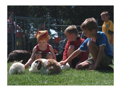 Holiday apartment Luxus Bungalow - Outdoor photo 20