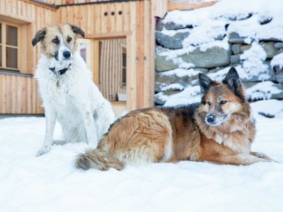 Holiday apartment Gerhart - Nr. 6 - Outdoor photo 6