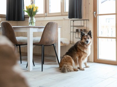 Holiday apartment Gerhart - Nr. 6 - Features photo 9