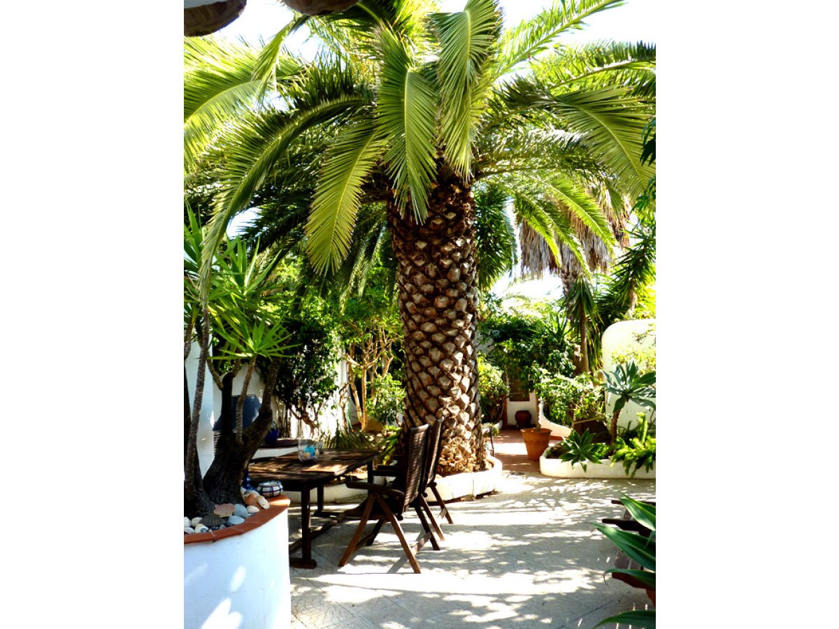 Holiday house Aloé - Oasis-Verde - Outdoor photo 5