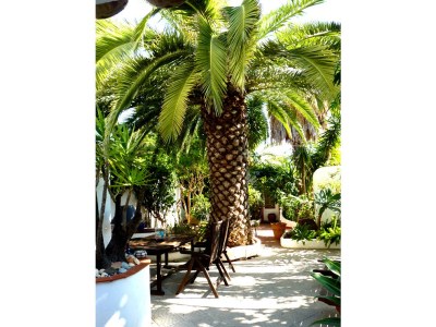 Holiday house Aloé - Oasis-Verde - Outdoor photo 5