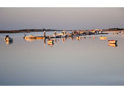 Holiday house Aloé - Oasis-Verde - Environment photo 14