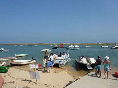 Holiday house Aloé - Oasis-Verde - Environment photo 15