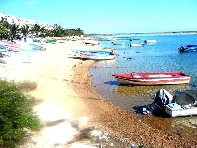 Holiday house Aloé - Oasis-Verde - Environment photo 16