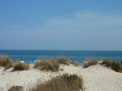 Holiday house Aloé - Oasis-Verde - Environment photo 17