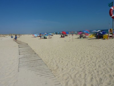 Holiday house Aloé - Oasis-Verde - Environment photo 18