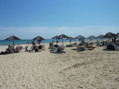 Holiday house Aloé - Oasis-Verde - Environment photo 19