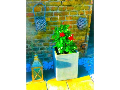 Apartment Families & Groups near Berlin - Outdoor photo 7