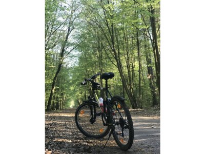 Apartment Families & Groups near Berlin - Environment photo 28