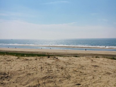 Holiday house Drie Dennen - Environment photo 23