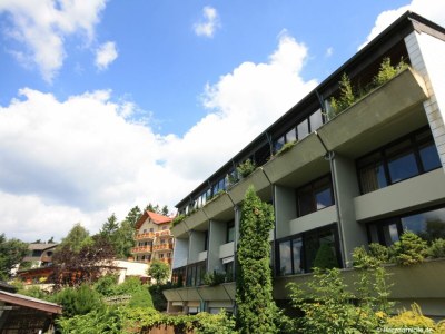 Holiday apartment "Kleine" Harzperle 1 - Outdoor photo 2