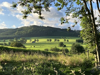 Holiday house Marina - Outdoor photo 7
