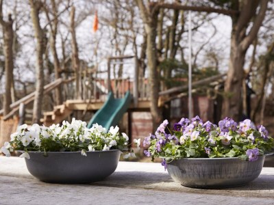 Holiday apartment Fokkemaat - Outdoor photo 24