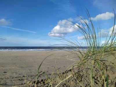 Holiday apartment Fokkemaat - Outdoor photo 29