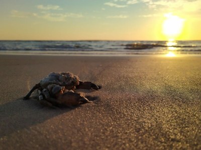 Holiday apartment Fokkemaat - Outdoor photo 31