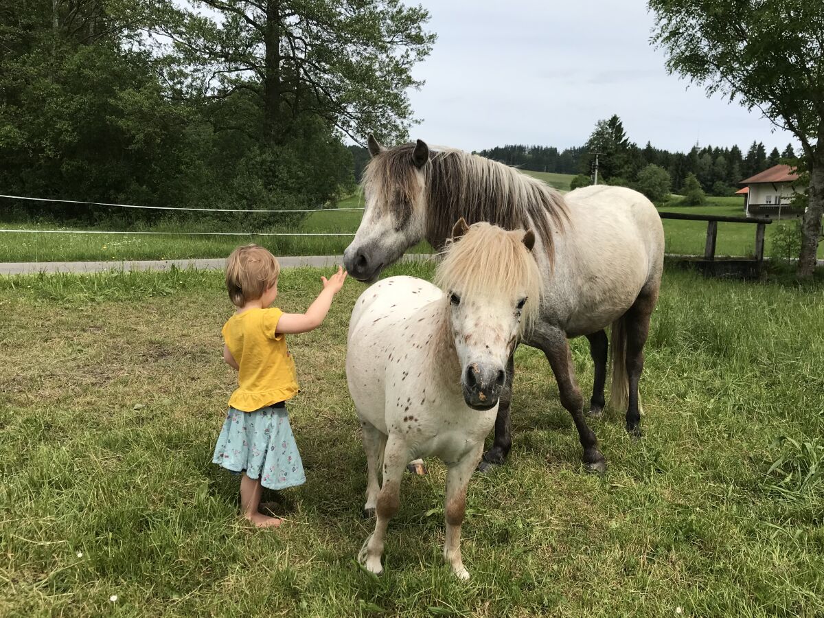 Holiday apartment Gerlach - Outdoor photo 4