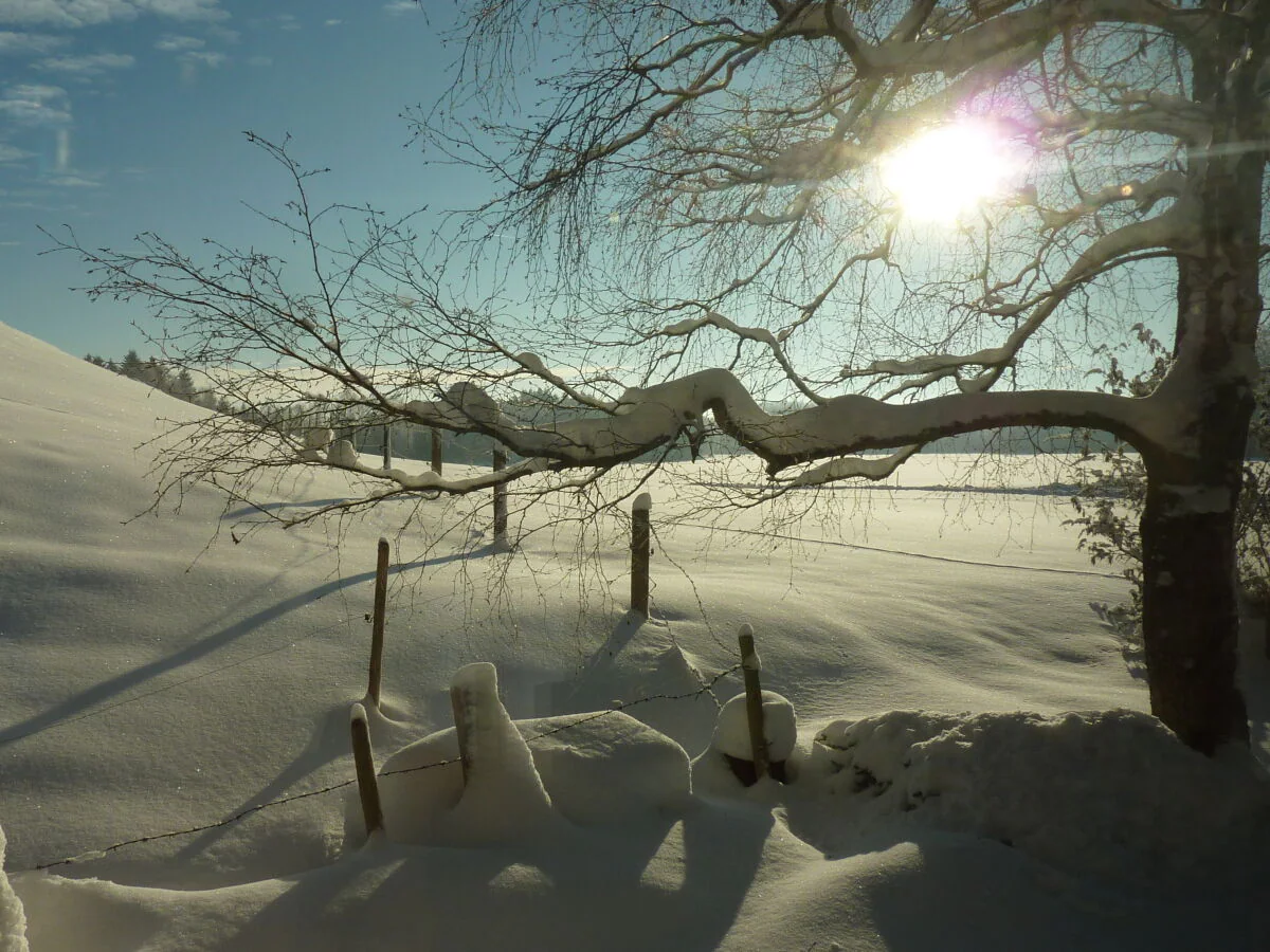 Holiday apartment Gerlach - Outdoor photo 5