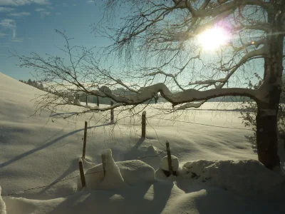 Holiday apartment Gerlach - Outdoor photo 5