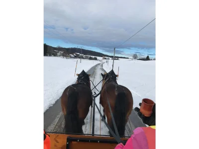 Holiday apartment Gerlach - Outdoor photo 8