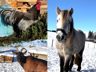 Holiday apartment Gerlach - Outdoor photo 9