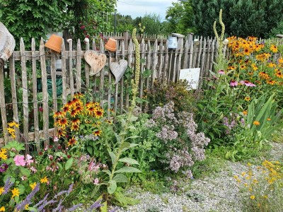 Holiday apartment Gerlach - Outdoor photo 12