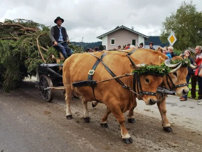 Holiday apartment Gerlach - Environment photo 38