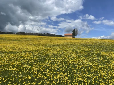 Holiday apartment Gerlach - Environment photo 39