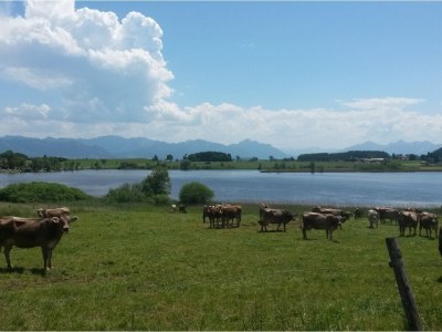 Holiday apartment Gerlach - Environment photo 40