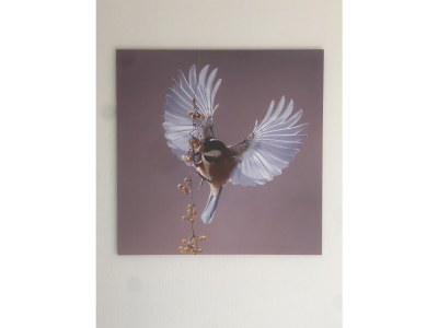 Chalet Marina Strandbad Chalet IJsselFlow House No. 38 - Features photo 14