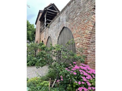 Chalet Marina Strandbad Chalet IJsselFlow House No. 38 - Environment photo 24