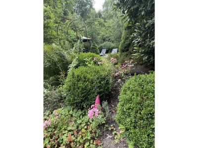 Holiday apartment "Am Bergpark" Apartment Waldblick - Outdoor photo 10