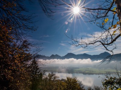 Holiday house at the Attersee - Environment photo 22